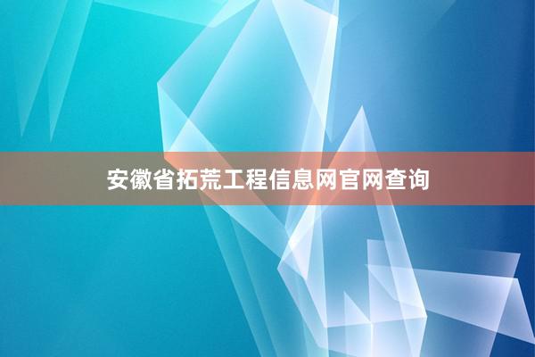 安徽省拓荒工程信息网官网查询